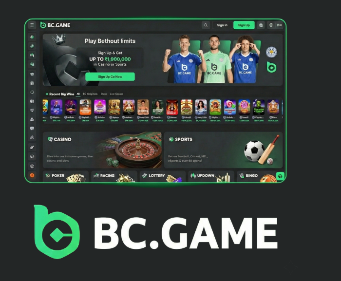Experience the Thrill of BC.Game Online Casino A Comprehensive Guide